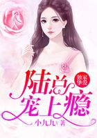 獨家摯愛：陸總，寵上癮！在線閱讀