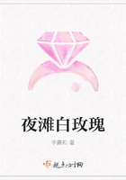 夜灘白玫瑰在線閱讀