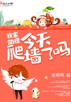 我家助理今天爬墻了嗎在線閱讀