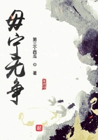毋宁无争在线阅读
