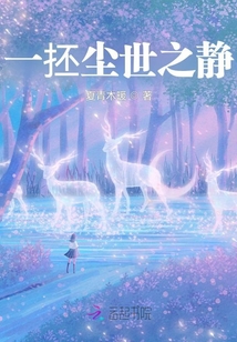 一抷塵世之靜