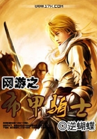 網游之布甲騎士在線閱讀
