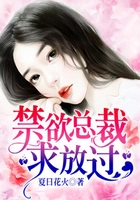 禁欲总裁,求放过在线阅读