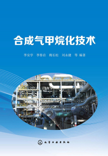 合成氣甲烷化技術