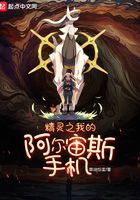 精靈之我的阿爾宙斯手機在線閱讀