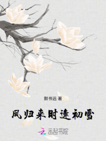 鳳歸來時逢初雪