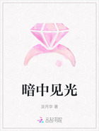 暗中见光在线阅读