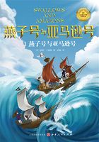 燕子号与亚马逊号(燕子号与亚马逊号)在线阅读