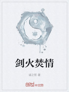 剑火焚情在线阅读