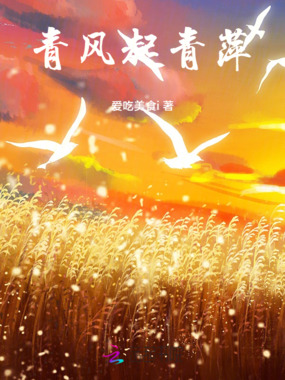 青风起青萍在线阅读