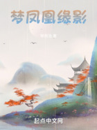 夢鳳凰緣影在線閱讀