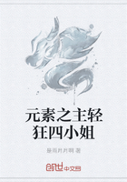 元素之主轻狂四小姐在线阅读