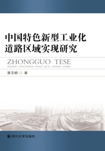 中国特色新型工业化道路区域实现研究