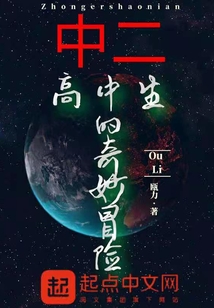 中二高中生的奇妙冒险