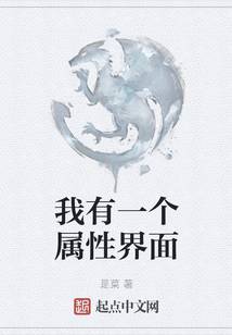 我有一个属性界面