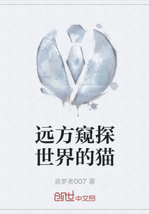 遠方窺探世界的貓