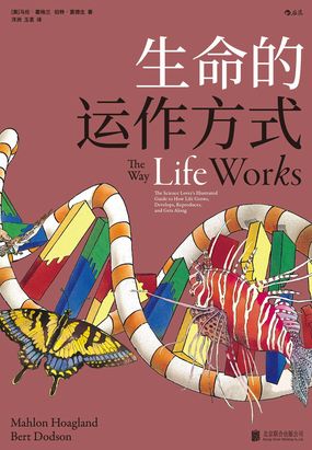  生命的运作方式|200