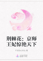 荆棘花：京师王妃惊艳天下在线阅读