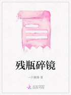 殘瓶碎鏡在線閱讀