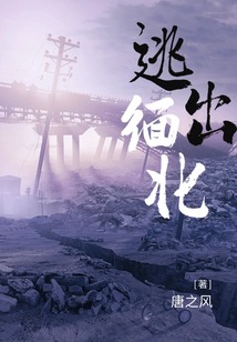逃出緬北