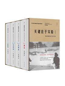 關(guān)鍵在于實(shí)驗(yàn):巫鴻中國當(dāng)代藝術(shù)文集(全四冊)