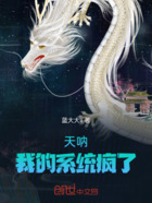 天呐!我的系统疯了在线阅读
