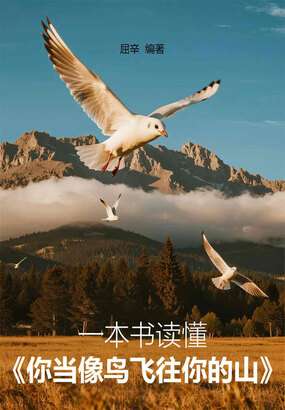 一本书读懂《你当像鸟飞往你的山》在线阅读