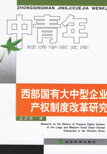 西部國有大中型企業產權制度改革研究
