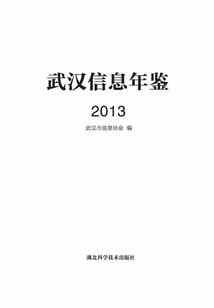 武漢信息年鑒（2013）