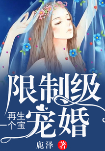 限制级宠婚:再生一个宝