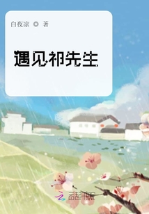 遇见祁先生