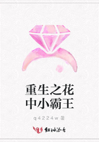 重生之花中小霸王在線閱讀
