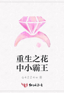 重生之花中小霸王