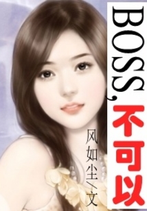 boss,不可以