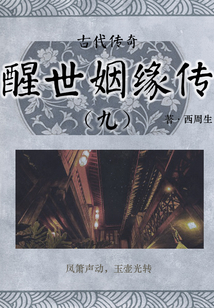 古代傳奇:醒世姻緣傳(九)