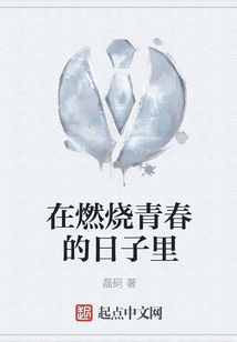 在燃燒青春的日子里
