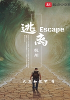 逃离杭州在线阅读
