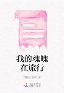 我的魂魄在旅行