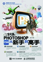 中文版Photoshop CS6从新手到高手（超值版）在线阅读