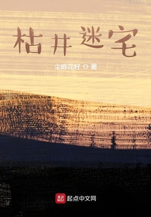 枯井迷宅