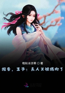 報(bào)告，王爺：夫人又被拐跑了