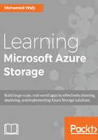 Learning Microsoft Azure Storage在线阅读