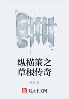 纵横策之草根传奇在线阅读