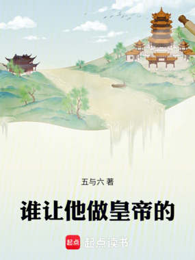 谁让他做皇帝的！在线阅读