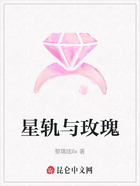 星轨与玫瑰在线阅读
