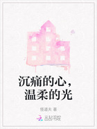 沉痛的心，温柔的光在线阅读