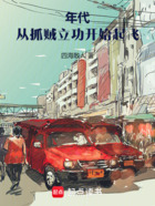 年代，从抓贼立功开始起飞在线阅读