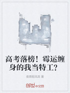 高考落榜!霉运缠身的我当特工?在线阅读