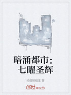 暗涌都市:七曜圣辉在线阅读