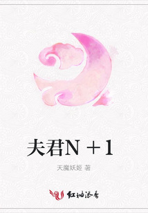 夫君N+1